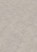 Enia B&B BREGENZ Shell Light – Click vinyl – productbeeld – enia flooring