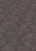 Enia B&B BORDEAUX Shell Dark – Dryback vinyl – productbeeld – enia flooring