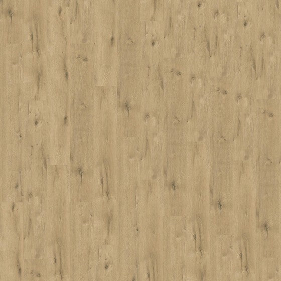 Liberty Rock 40 Acoustic Augustine Rechte plank